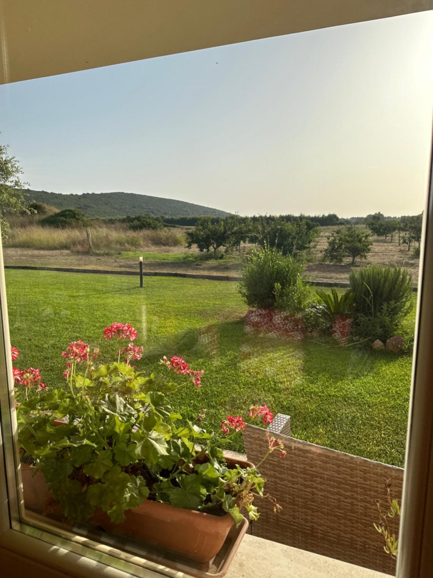 Villa Arzilla Sardegna Альгеро Экстерьер фото